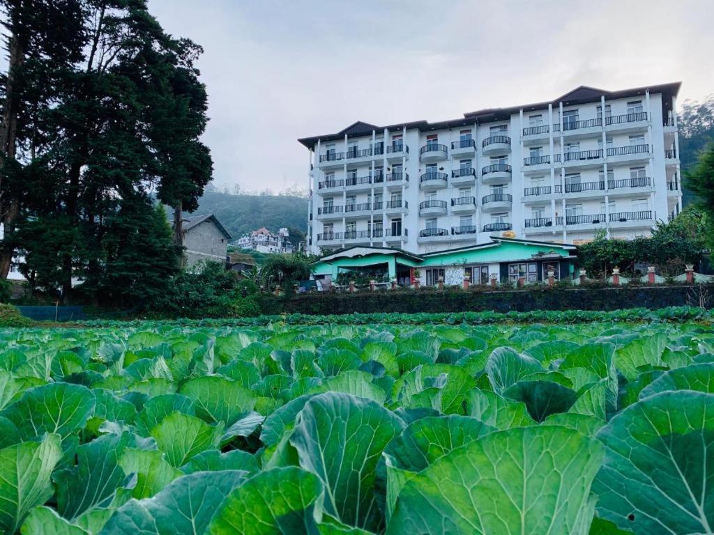 Apartament The Teak By Lakbima Nuwara Eliya Zewnętrze zdjęcie